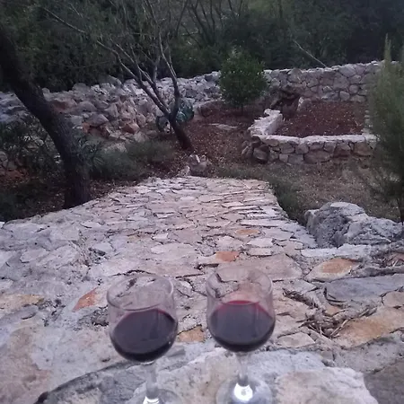 Apartment Vinjerac Zadar Croatia Slivnica